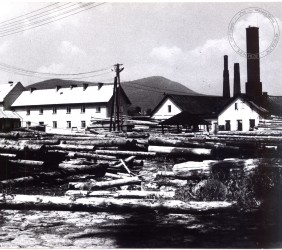 6.	Sawmill in Mszana Dolna. Photo recived thanks to the courtesy of the City Hall